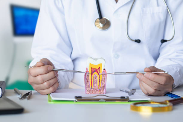 Best Dentist for Severe Toothache  in Amador Pines, CA